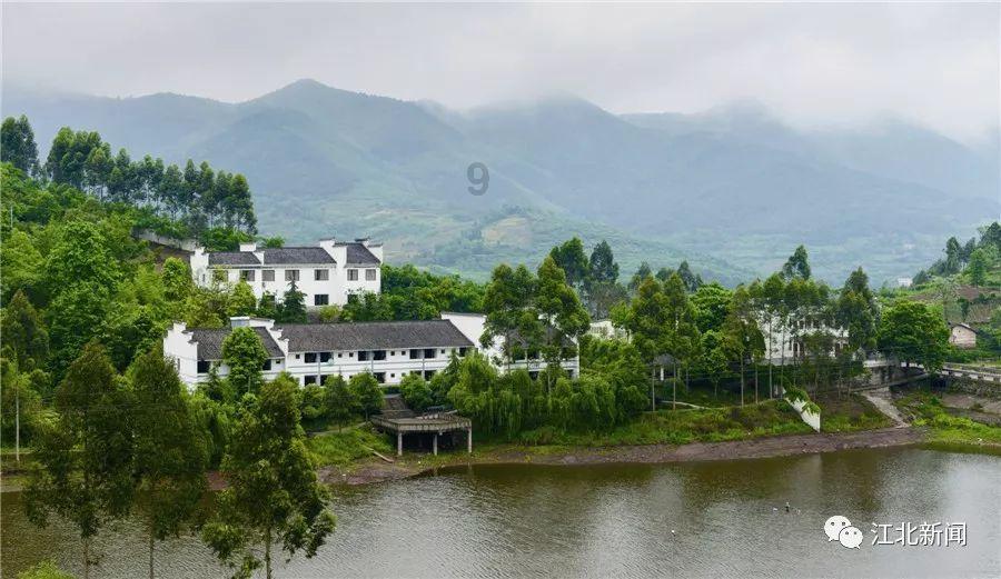 天津河西区与红桥区再度携手 形成推动教育高质量发展合力