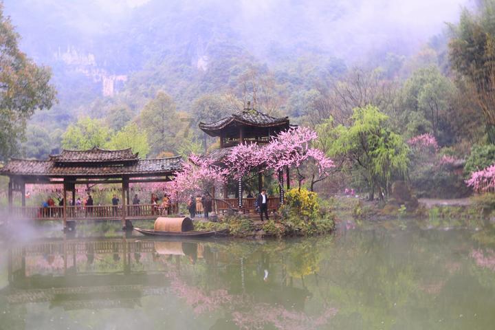 人到老年真正凄凉的不是没有子女，而是没有钱你认同吗?
