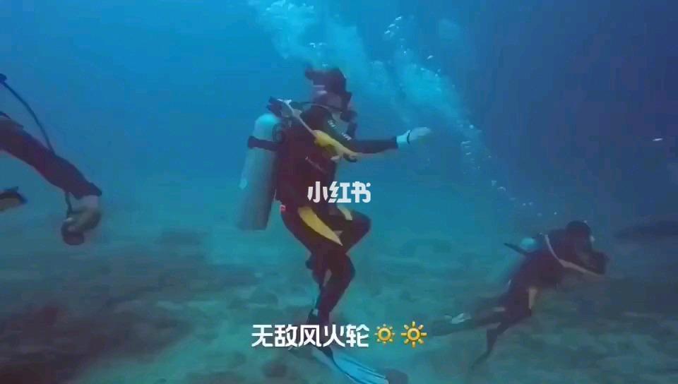 2.3亿人次！3350亿元！