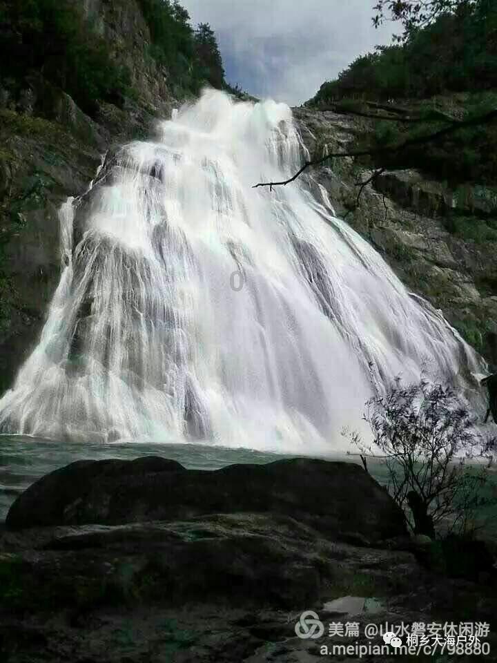 动物帮帮忙保卫家园